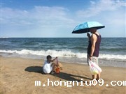 “海之韵”手机摄影大赛